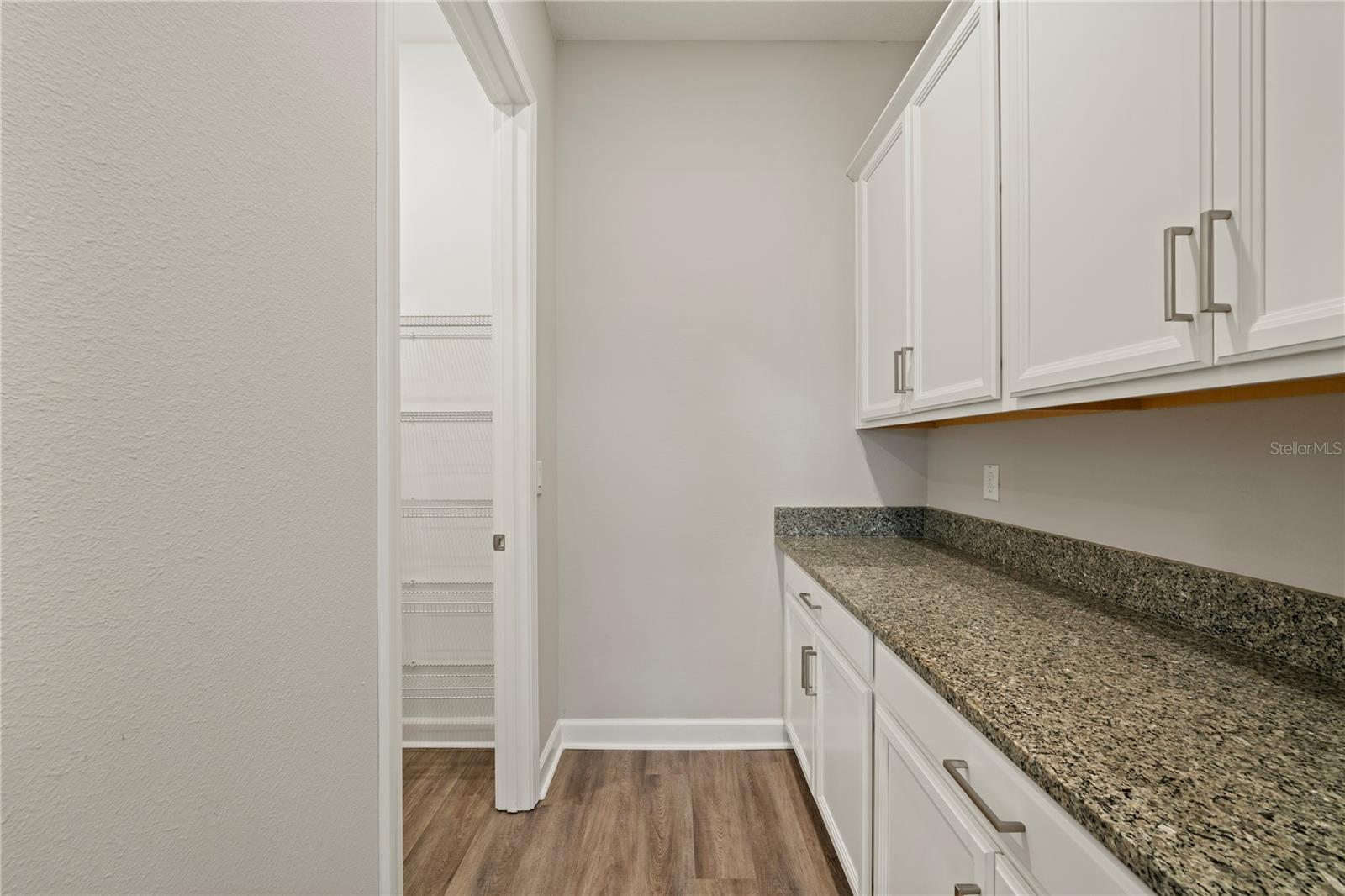 31875 MAGNA GULF LOOP — photo 45