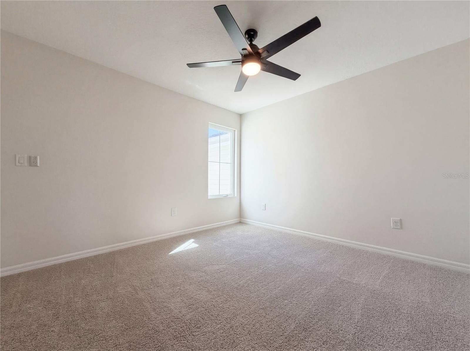 10844 VERAWOOD DR — photo 16