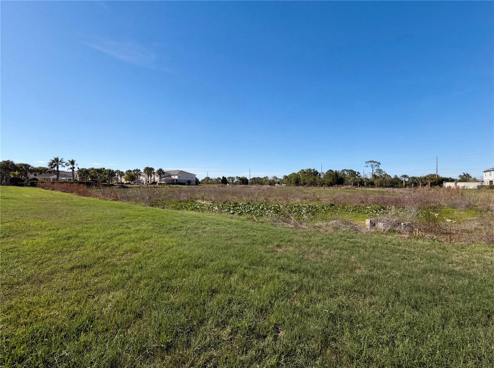 10844 VERAWOOD DR — photo 24