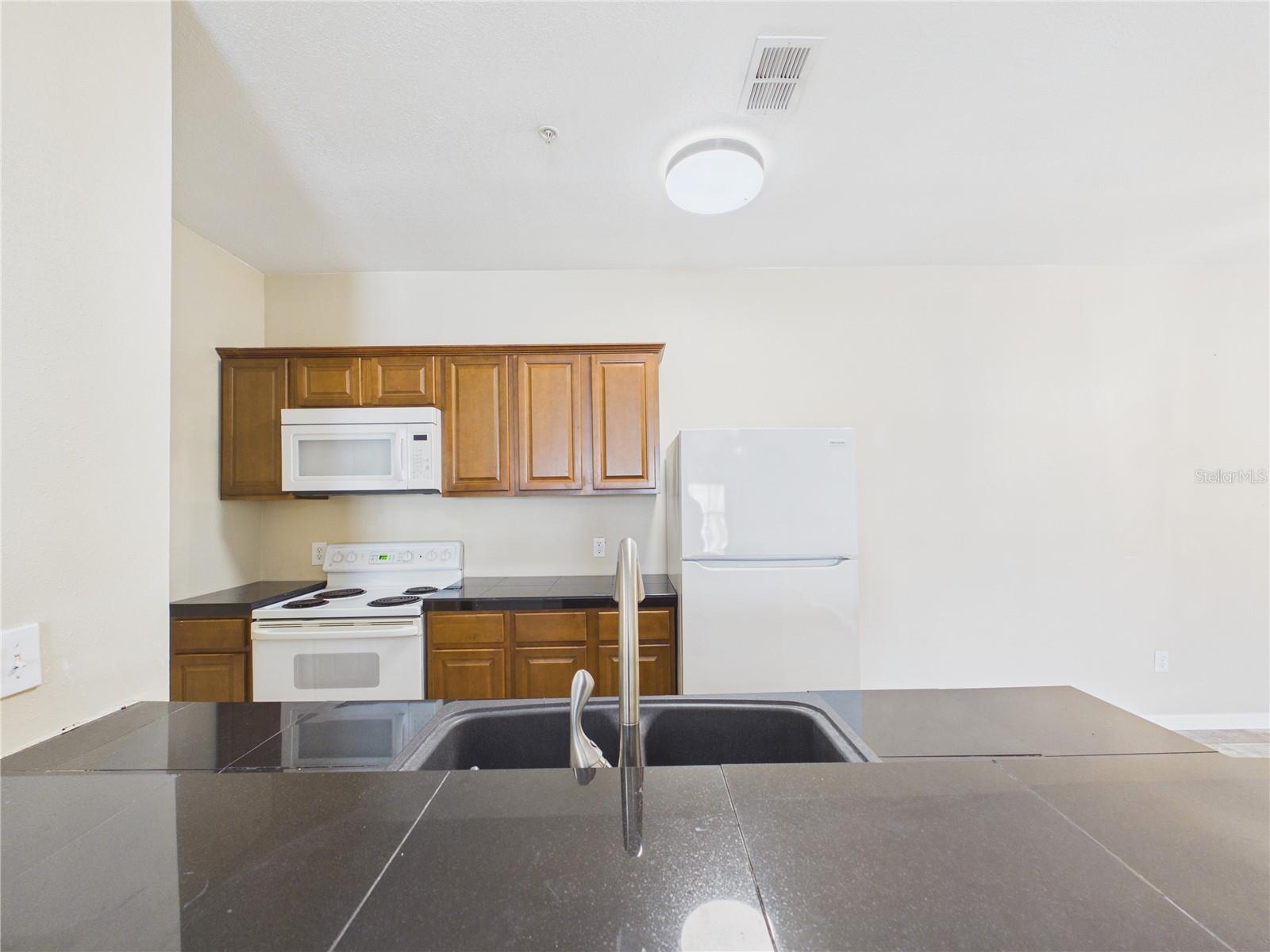 16305 ENCLAVE VILLAGE DR #102 — photo 9