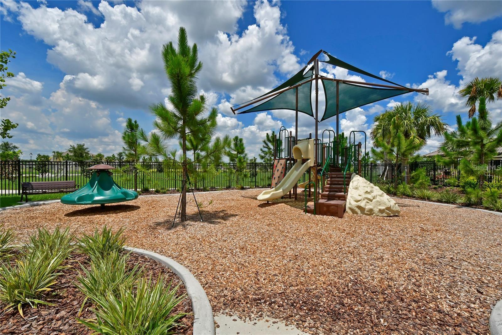 109 TIERRA VERDE WAY — photo 46