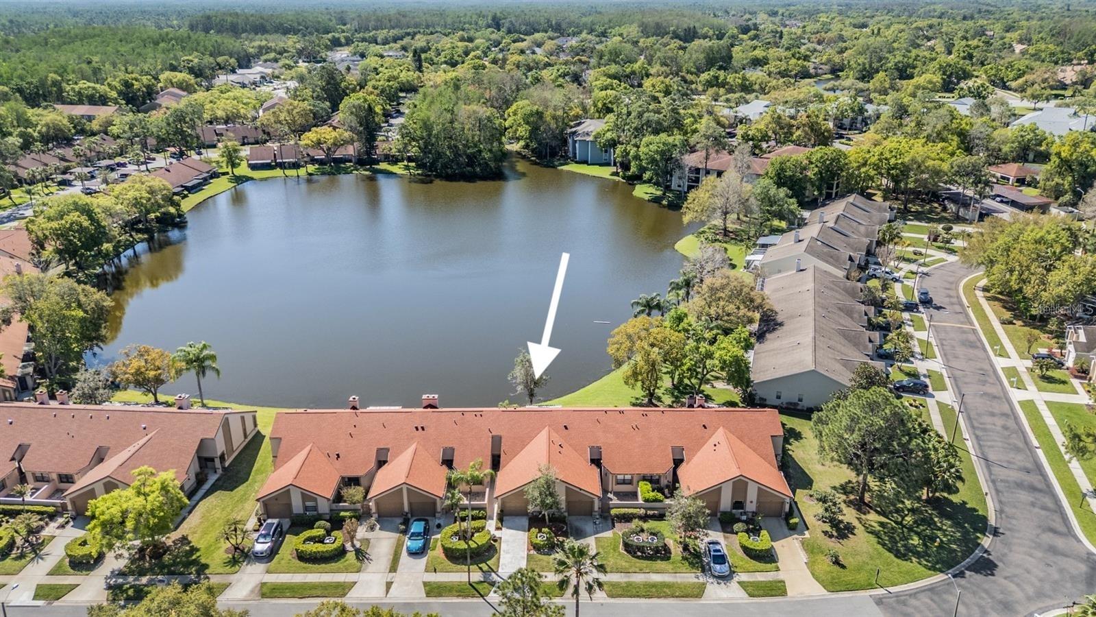 3960 MERMOOR DR — photo 31