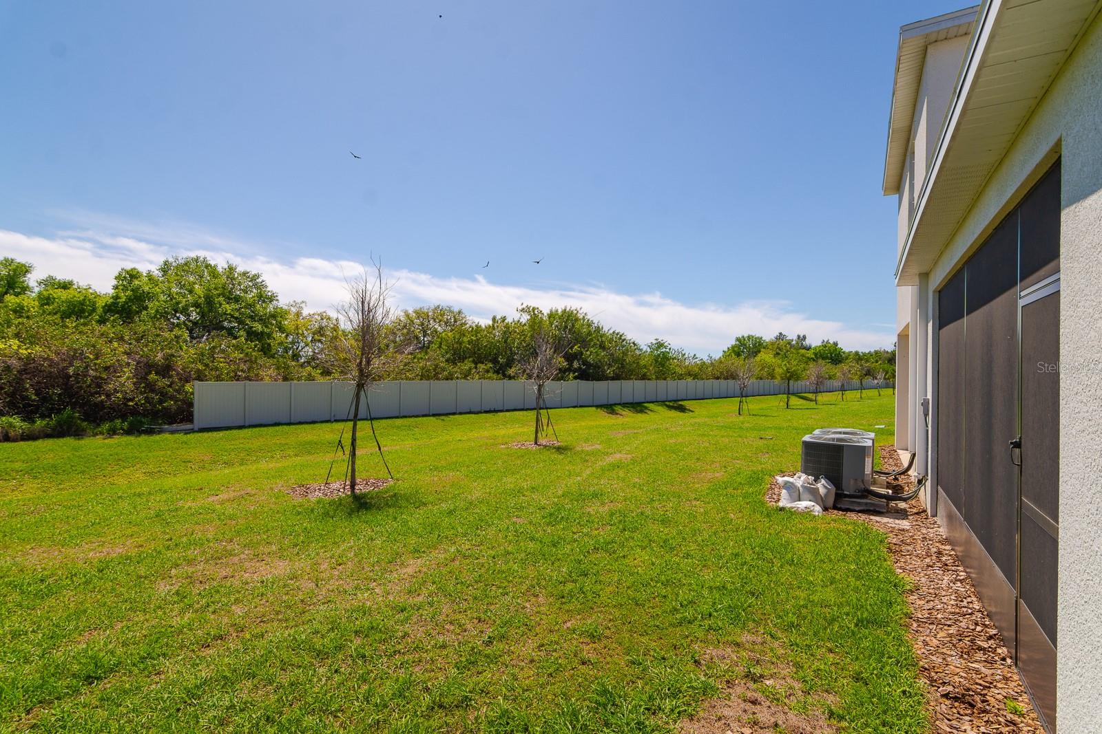 350 MANGROVE SHADE CIR — photo 31