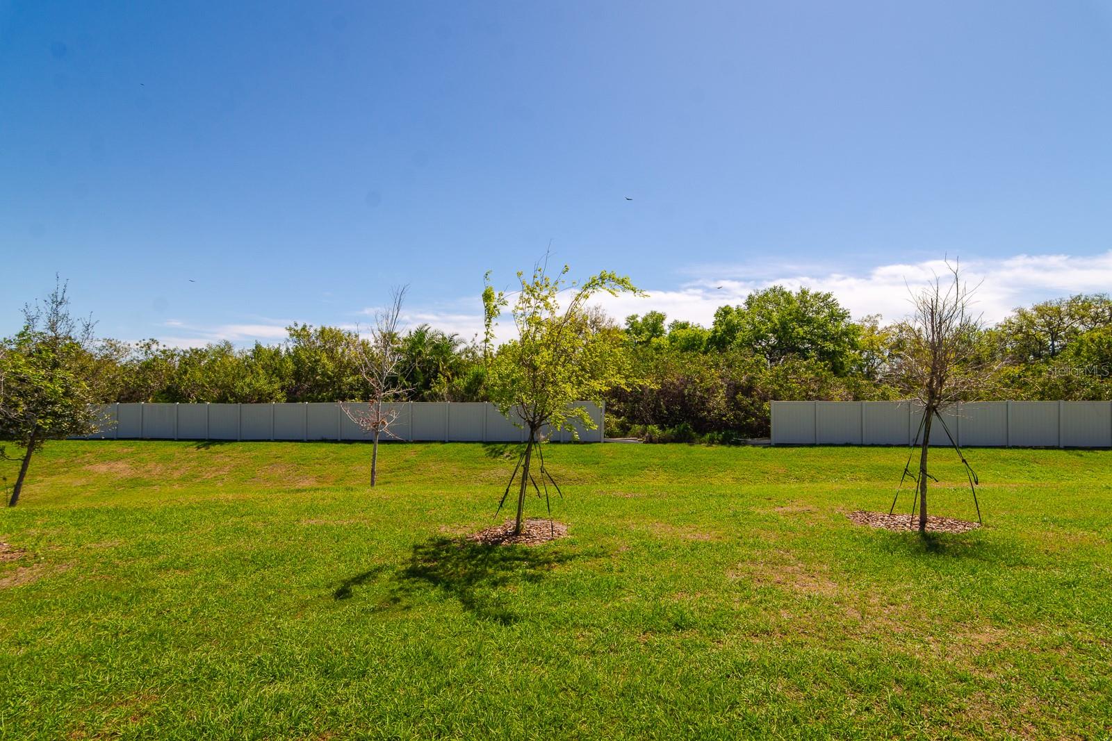 350 MANGROVE SHADE CIR — photo 32