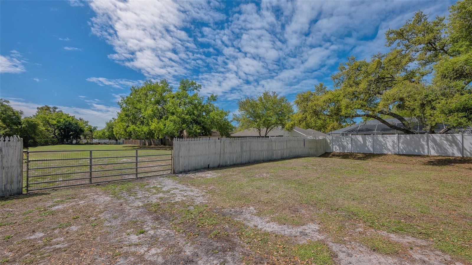 3818 GOCIO RD — photo 54