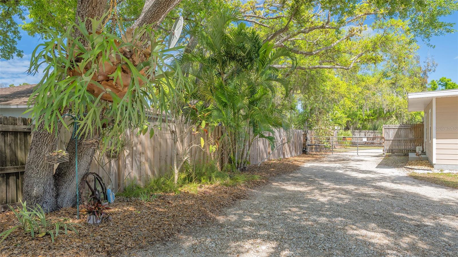 3818 GOCIO RD — photo 50