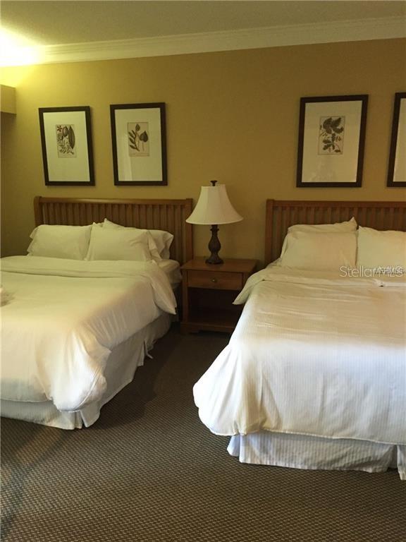 36750 US HIGHWAY 19 N #2879 — photo 10