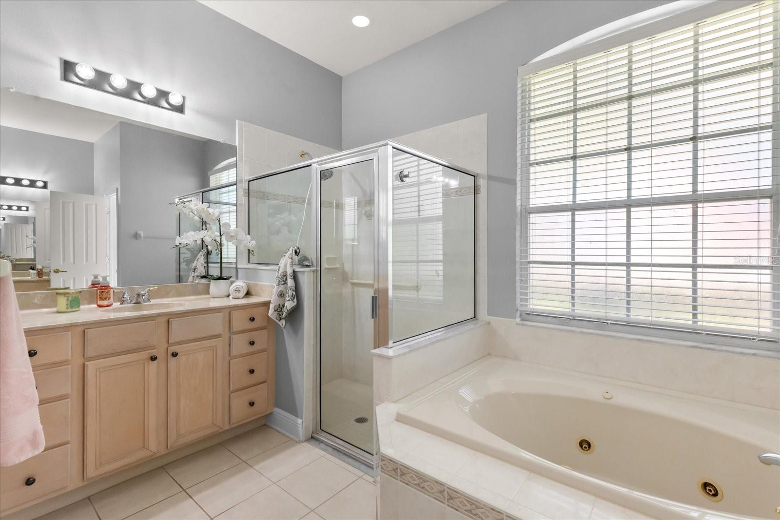 10207 ARBOR SIDE DR — photo 17