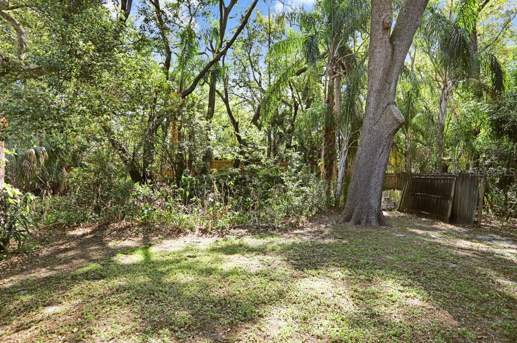 14931 OLD POINTE RD — photo 23