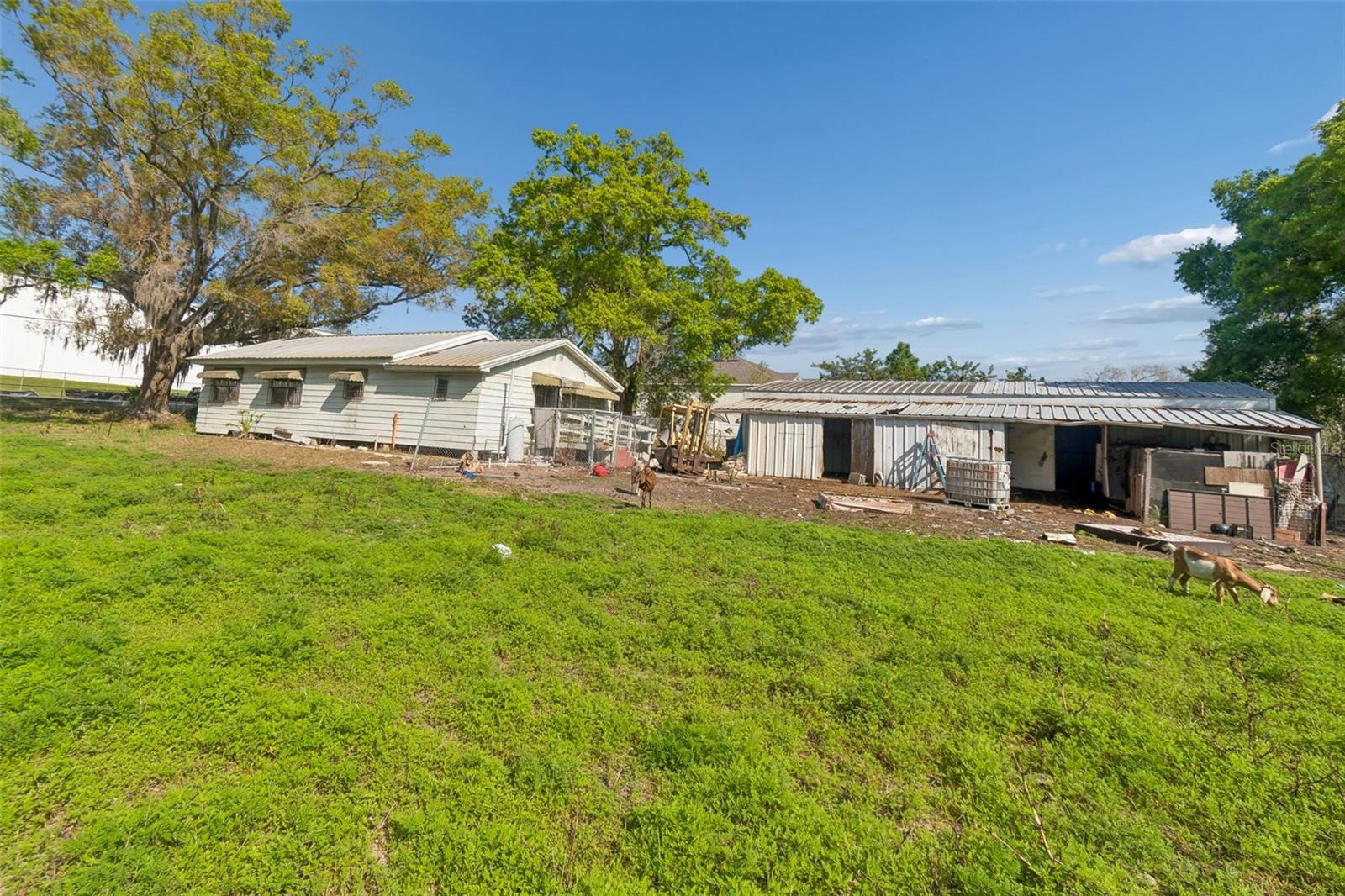 6213 ORIENT RD — photo 50