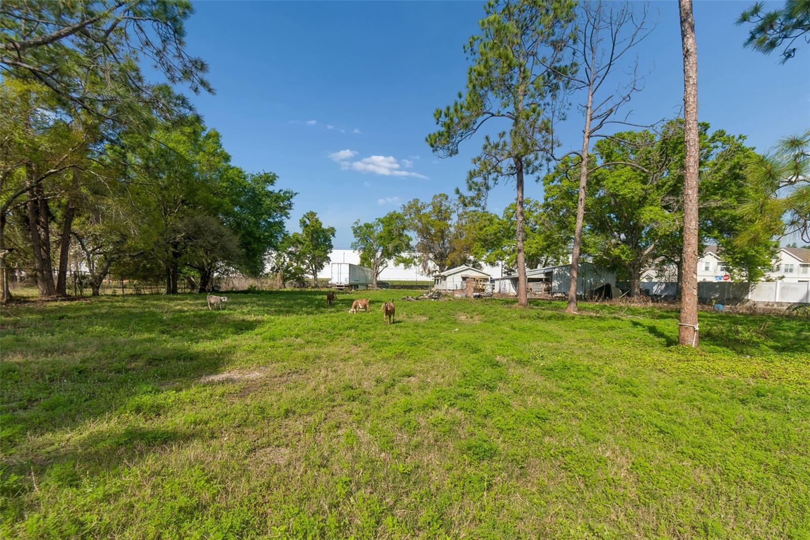6213 ORIENT RD — photo 43