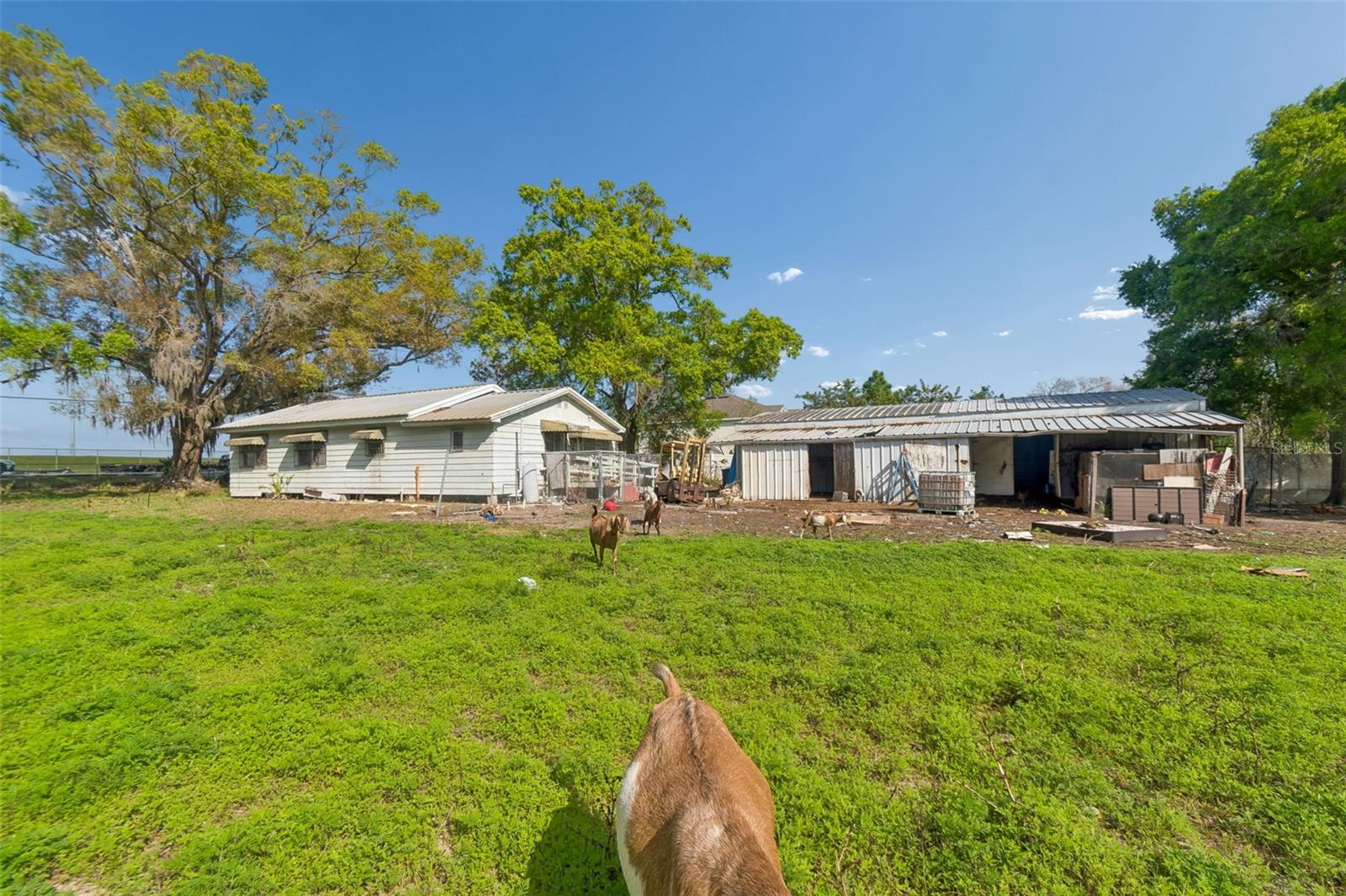 6213 ORIENT RD — photo 49