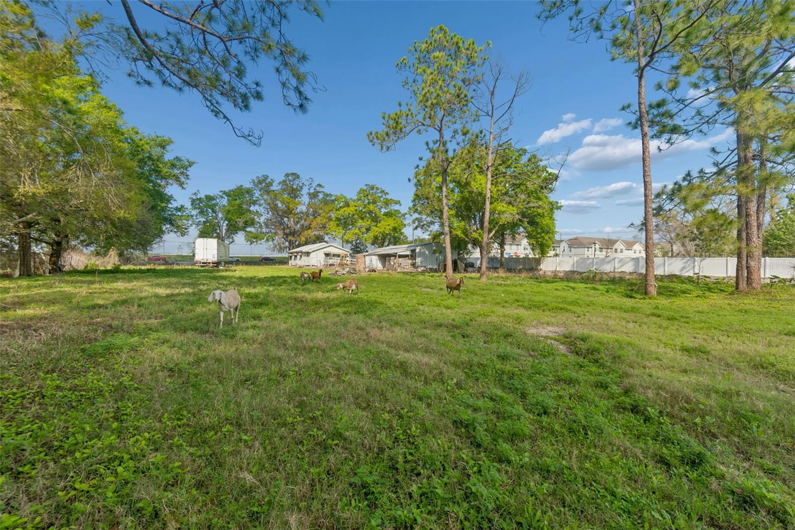 6213 ORIENT RD — photo 44
