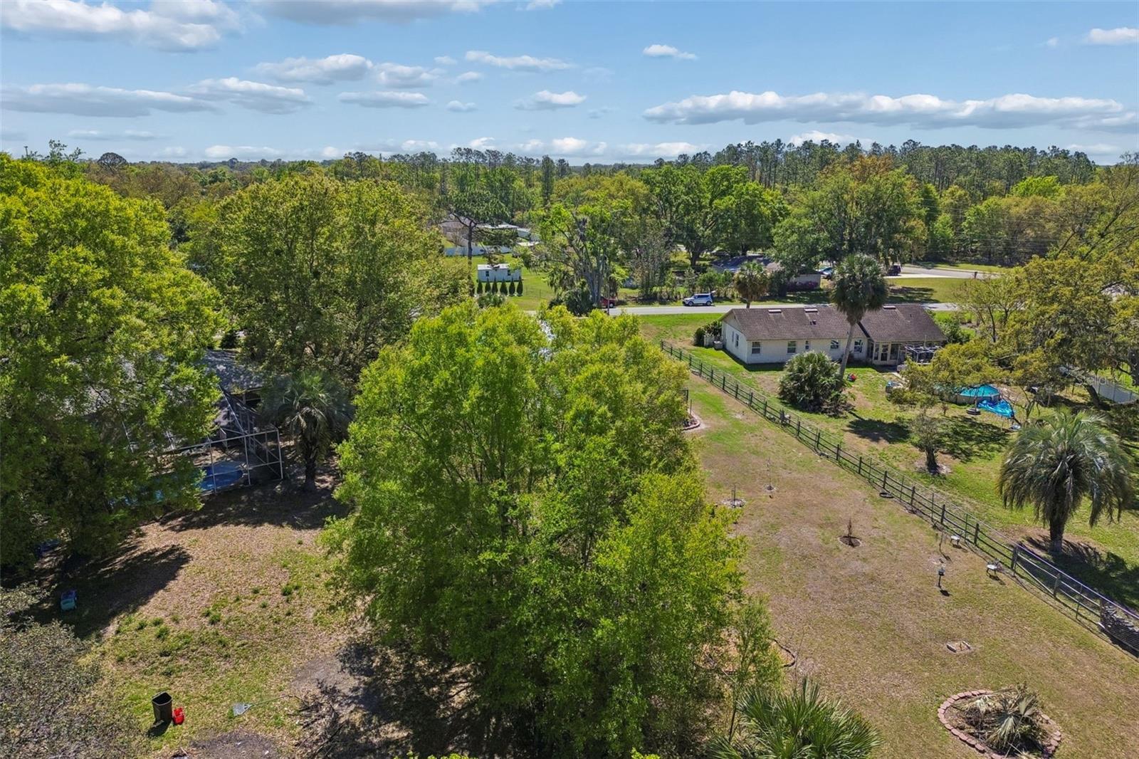 5059 BERNADETTE DR — photo 41