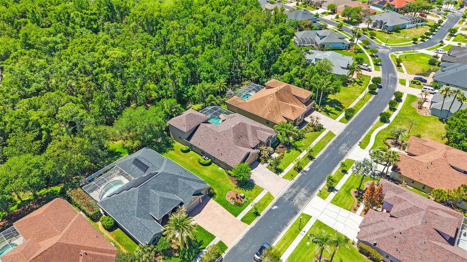 27608 PINE POINT DR — photo 84