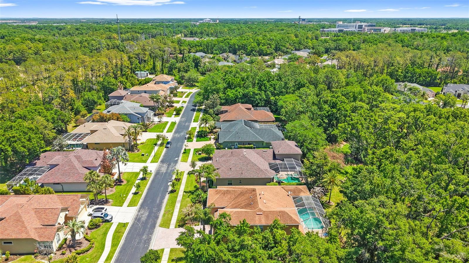 27608 PINE POINT DR — photo 86