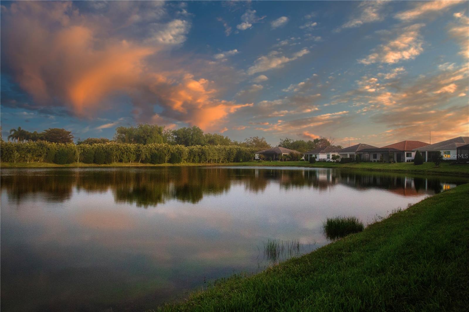 7732 SANDHILL LAKE DR — photo 93