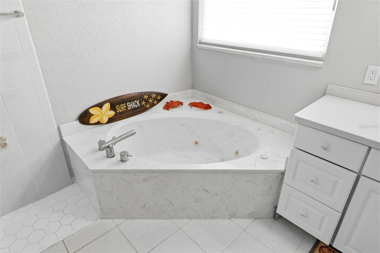 2499 SILVER PALM RD — photo 18