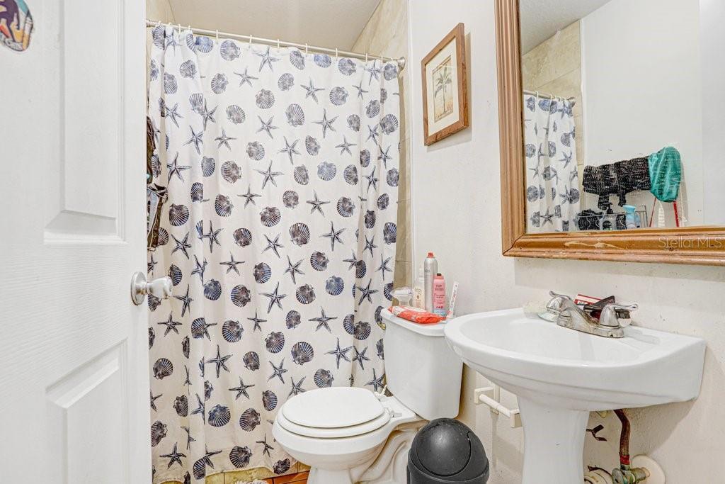 6923 N HIMES AVE — photo 15