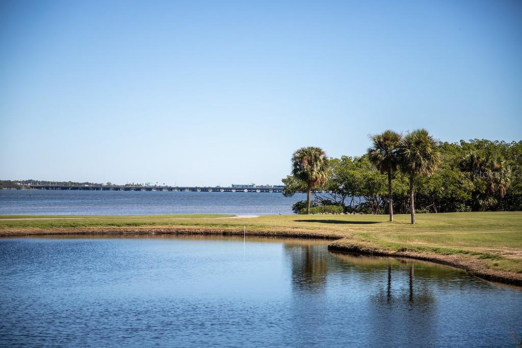 2621 COVE CAY DR #606 — photo 47