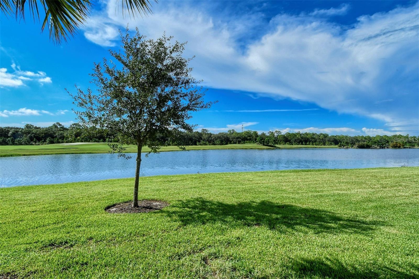 5537 PALMER CIR #201 — photo 45