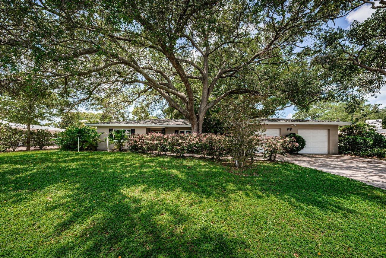 1704 CYPRESS AVE — photo 65
