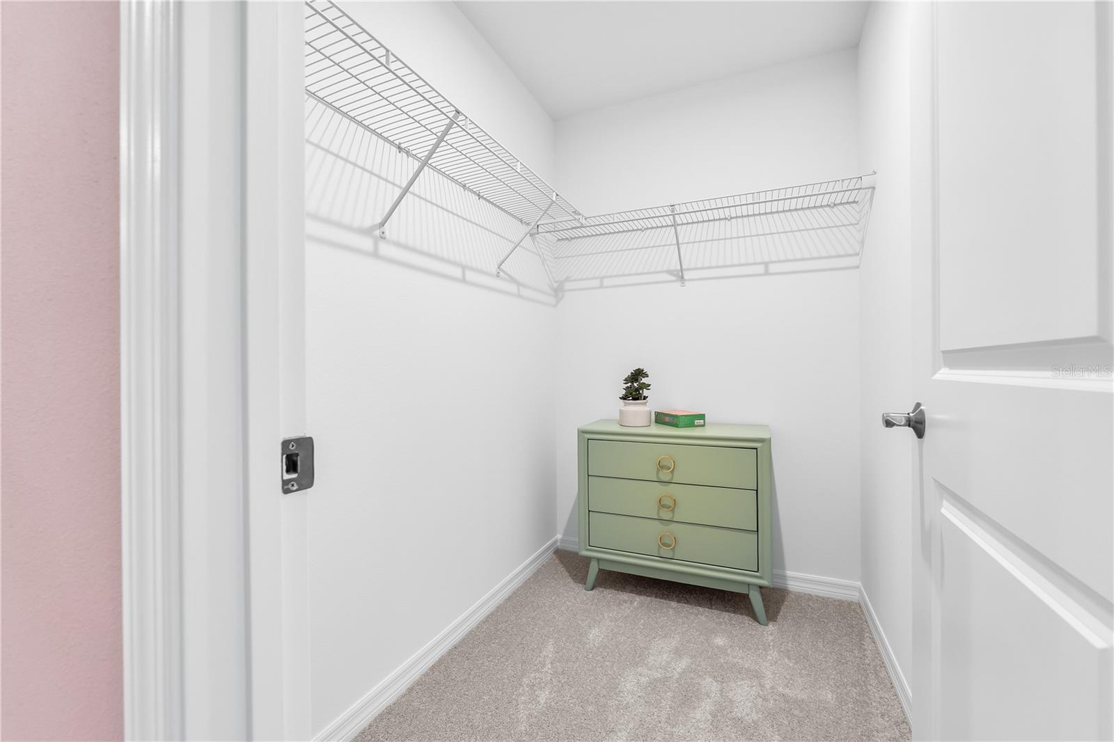 10139 MORNING MEADOWLARK TRL — photo 43