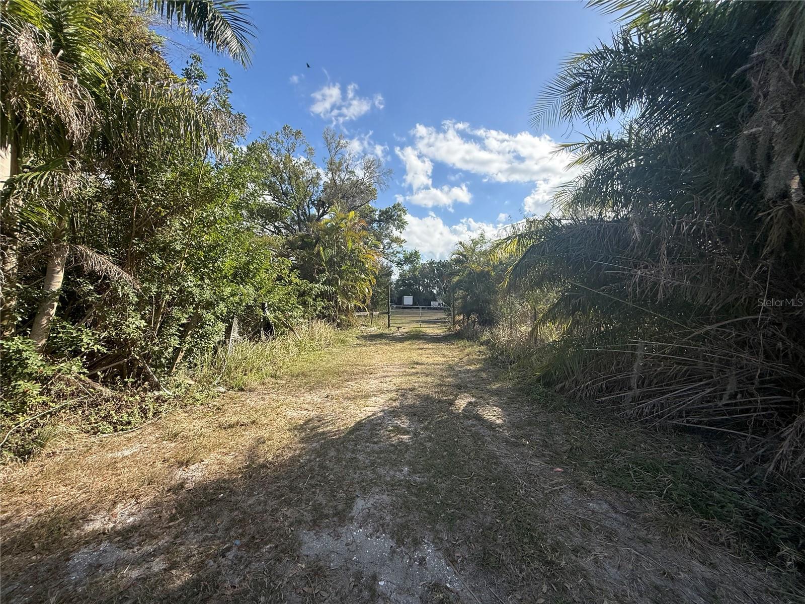 11959 MOCCASIN WALLOW RD — photo 4