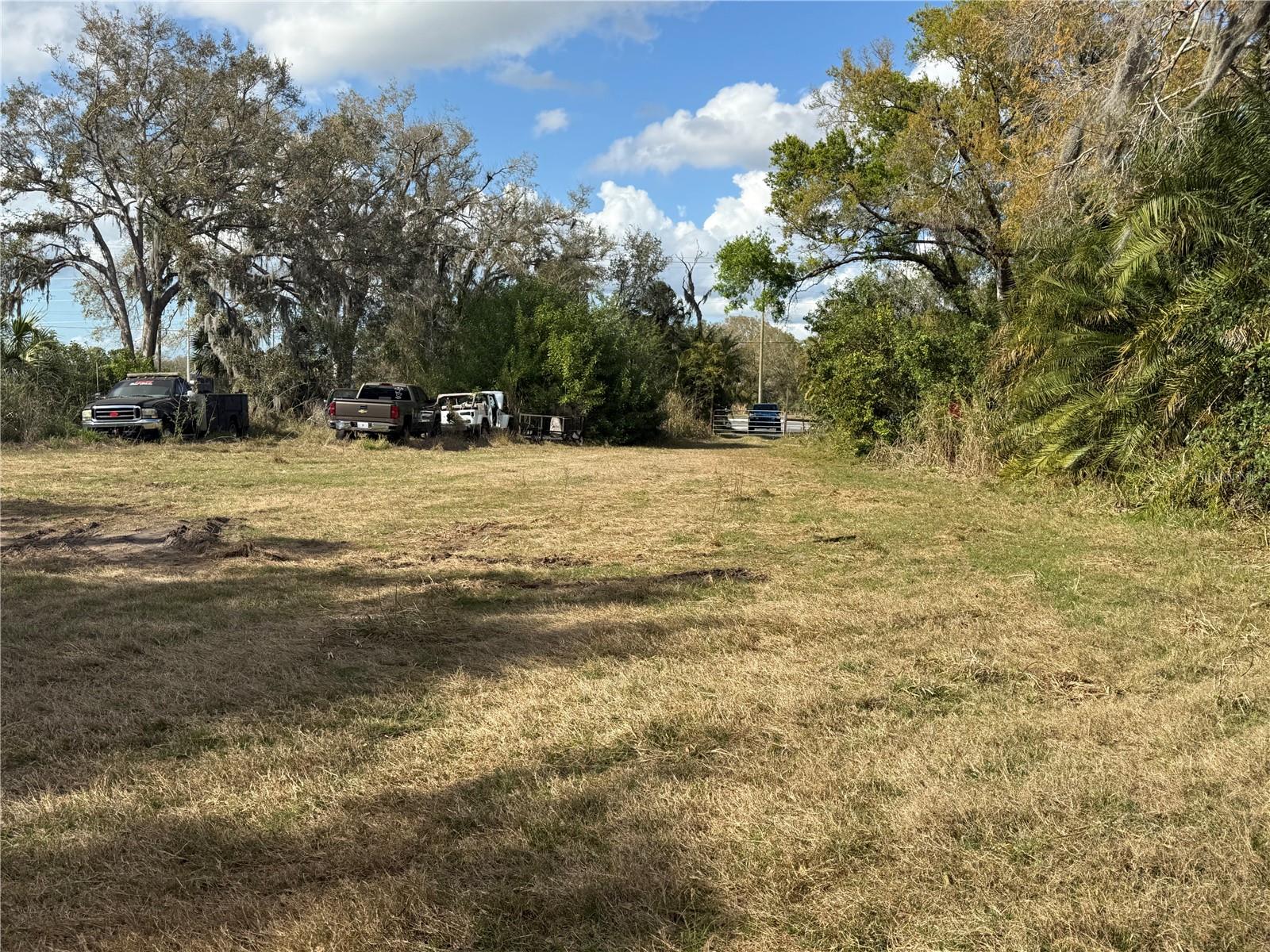 11959 MOCCASIN WALLOW RD — photo 8