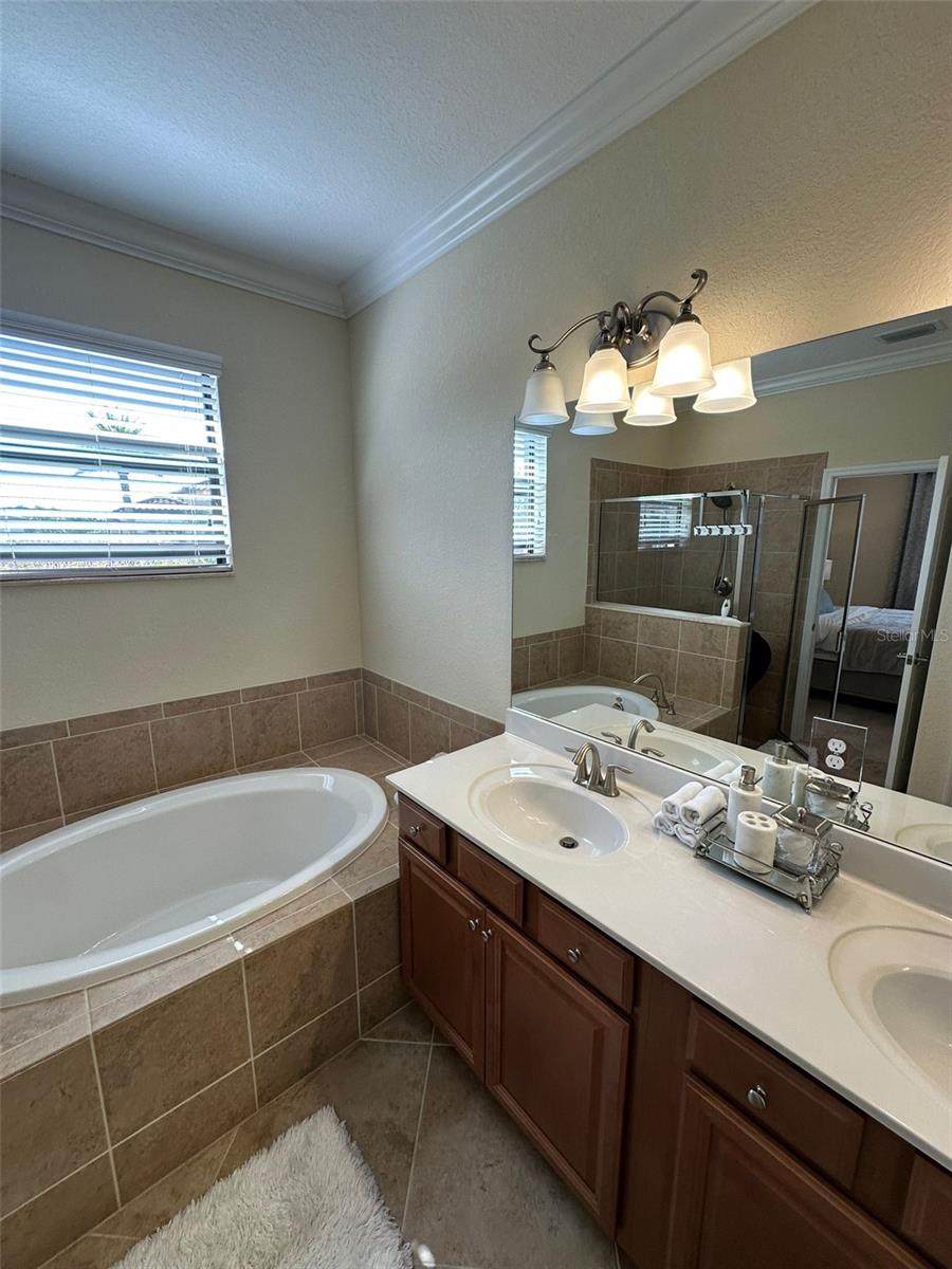 13235 AMERIGO LN — photo 10