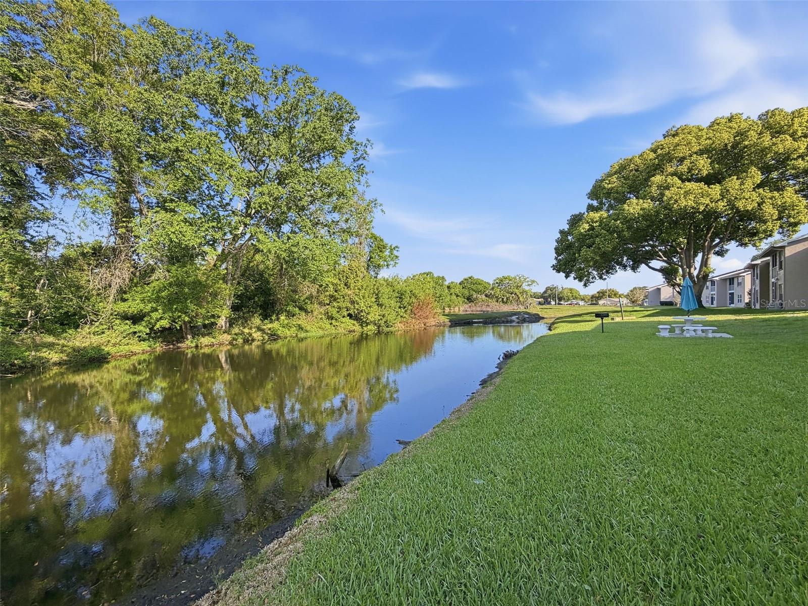 4833 MYRTLE OAK DR #12 — photo 43