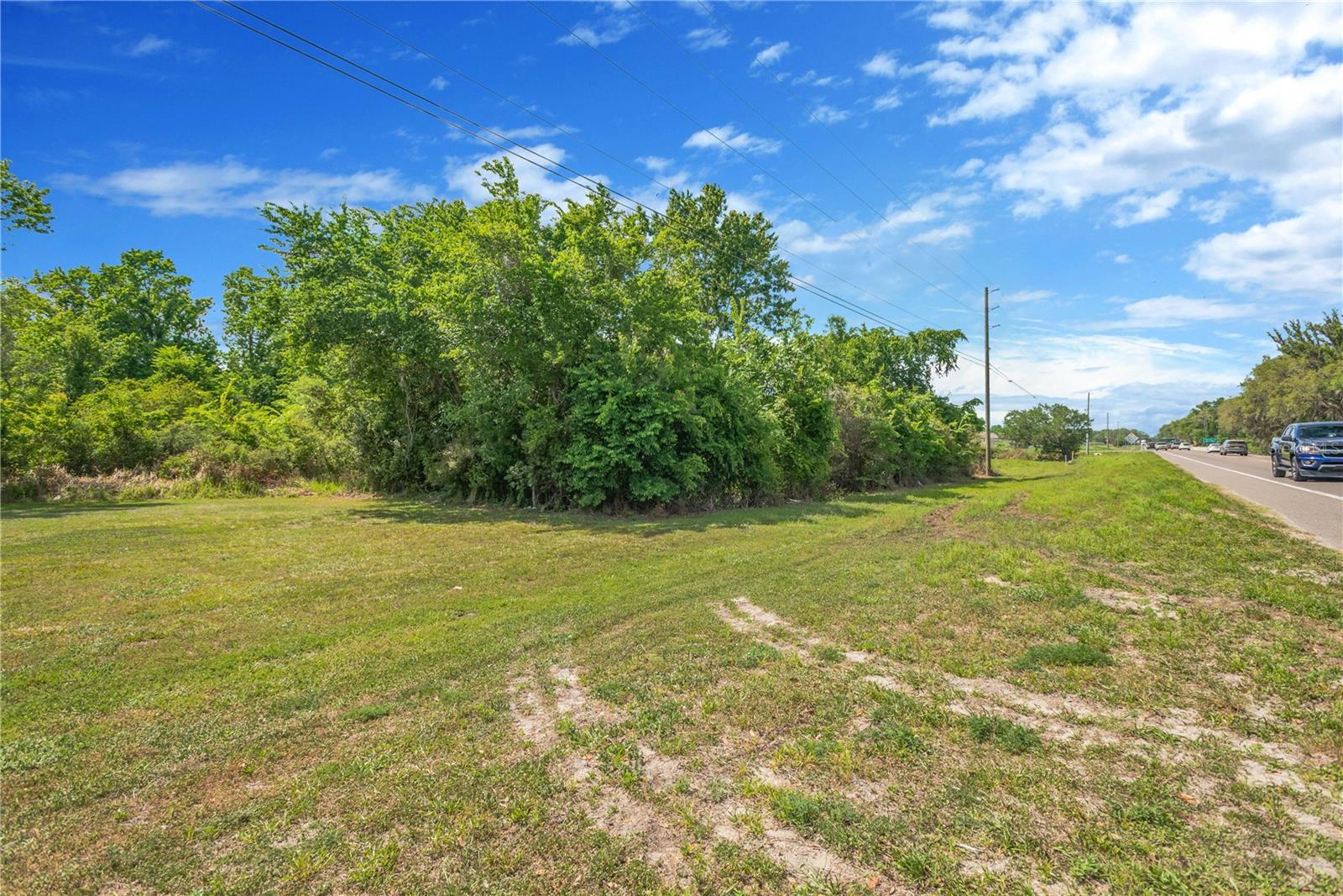 CORNER OF PAUL S BUCHMAN HWY & FORREST PLUM CT — photo 13