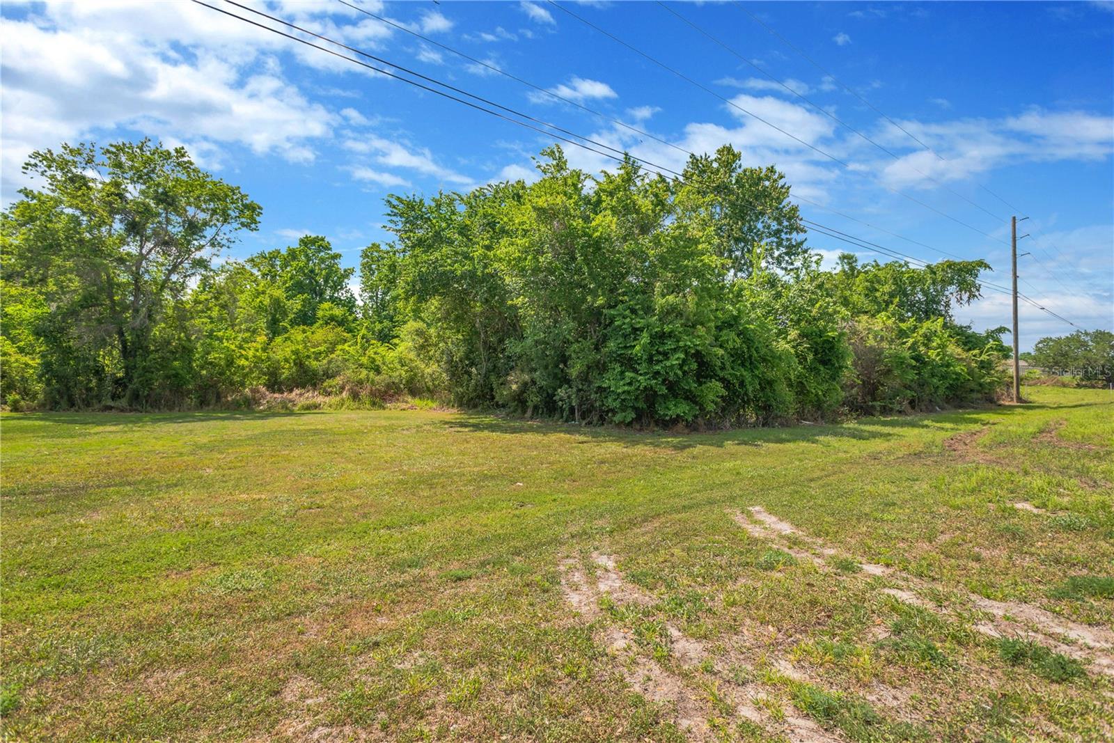 CORNER OF PAUL S BUCHMAN HWY & FORREST PLUM CT — photo 14