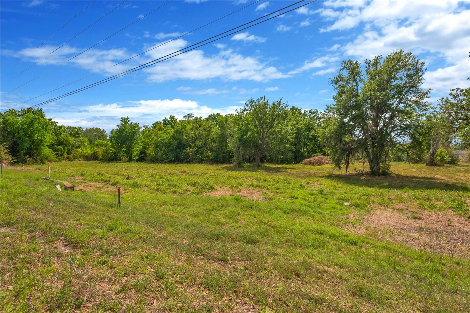 CORNER OF PAUL S BUCHMAN HWY & FORREST PLUM CT — photo 16