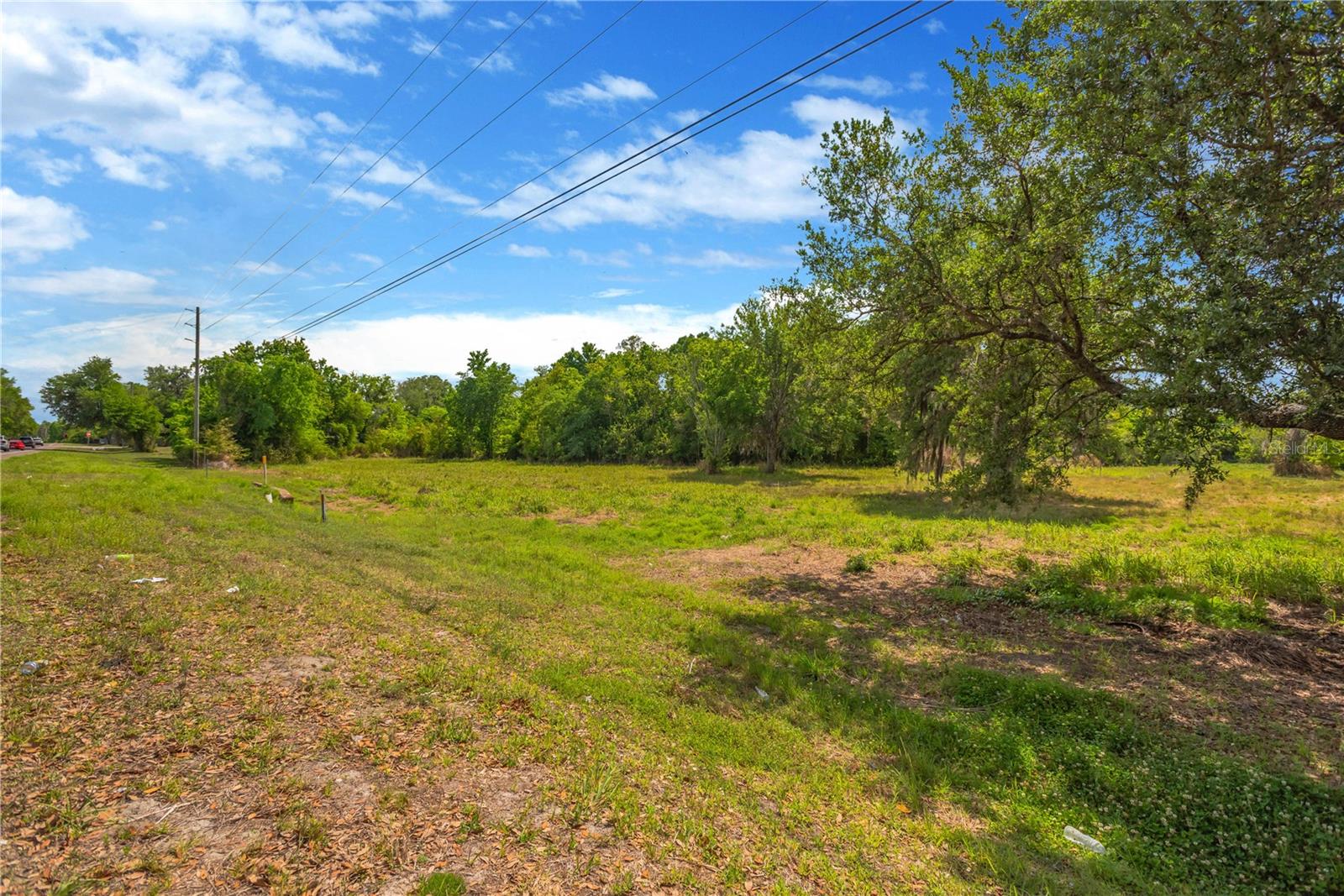 CORNER OF PAUL S BUCHMAN HWY & FORREST PLUM CT — photo 15