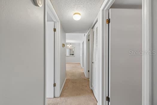 13103 CYPRESS HILL DR #B2 — photo 23