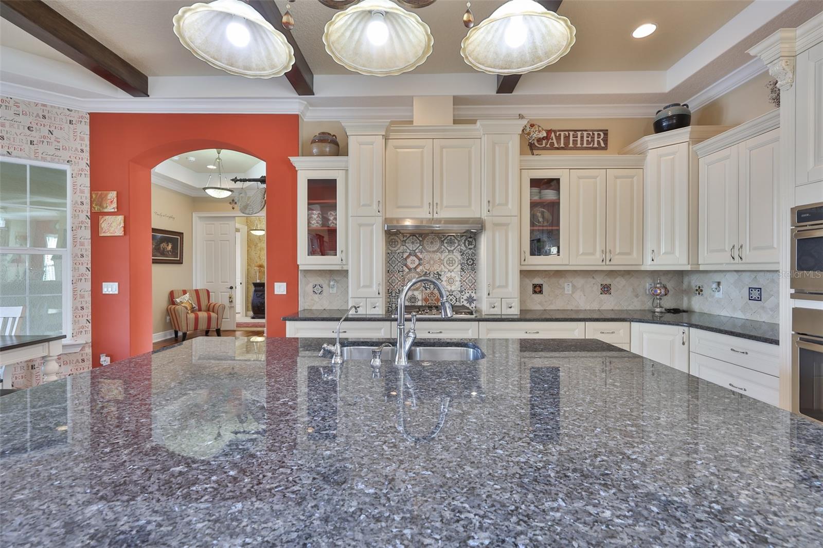 10517 TARPON SPRINGS RD — photo 26