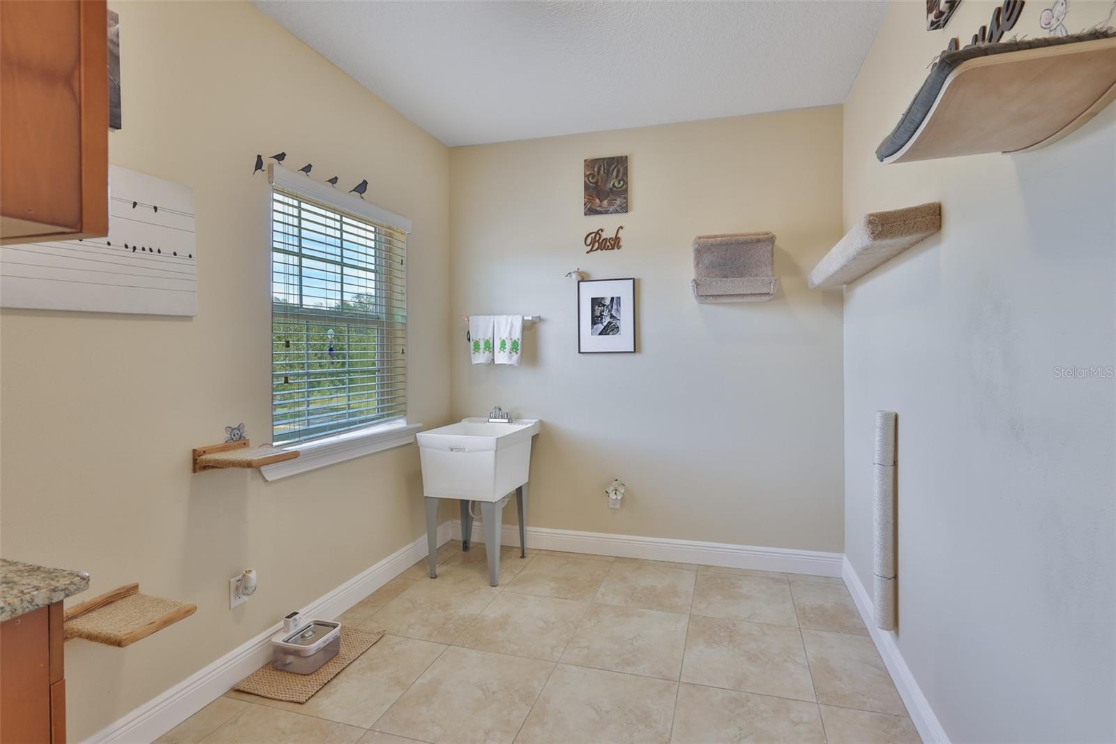 10517 TARPON SPRINGS RD — photo 37