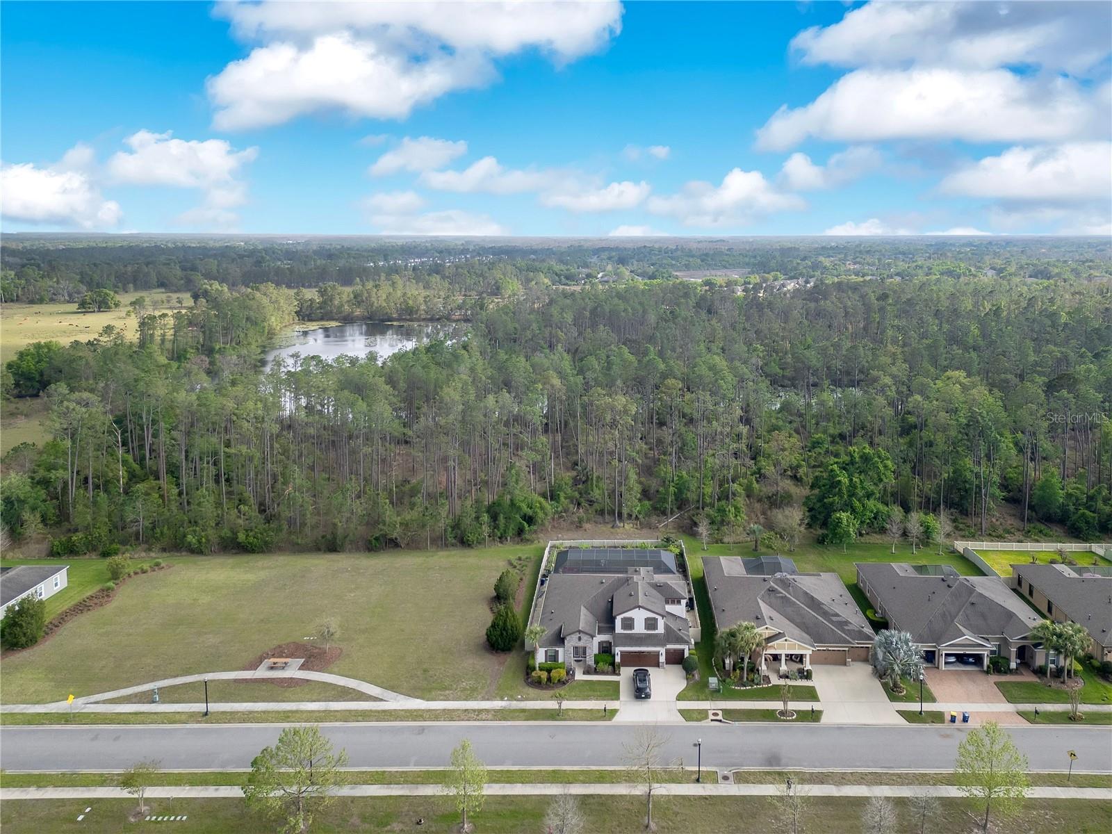 21914 BUTTERFLY KISS DR — photo 46