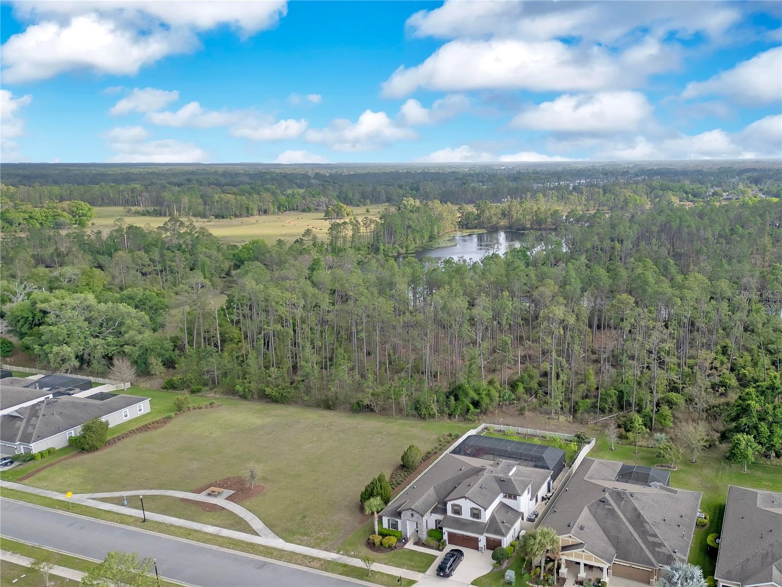 21914 BUTTERFLY KISS DR — photo 45