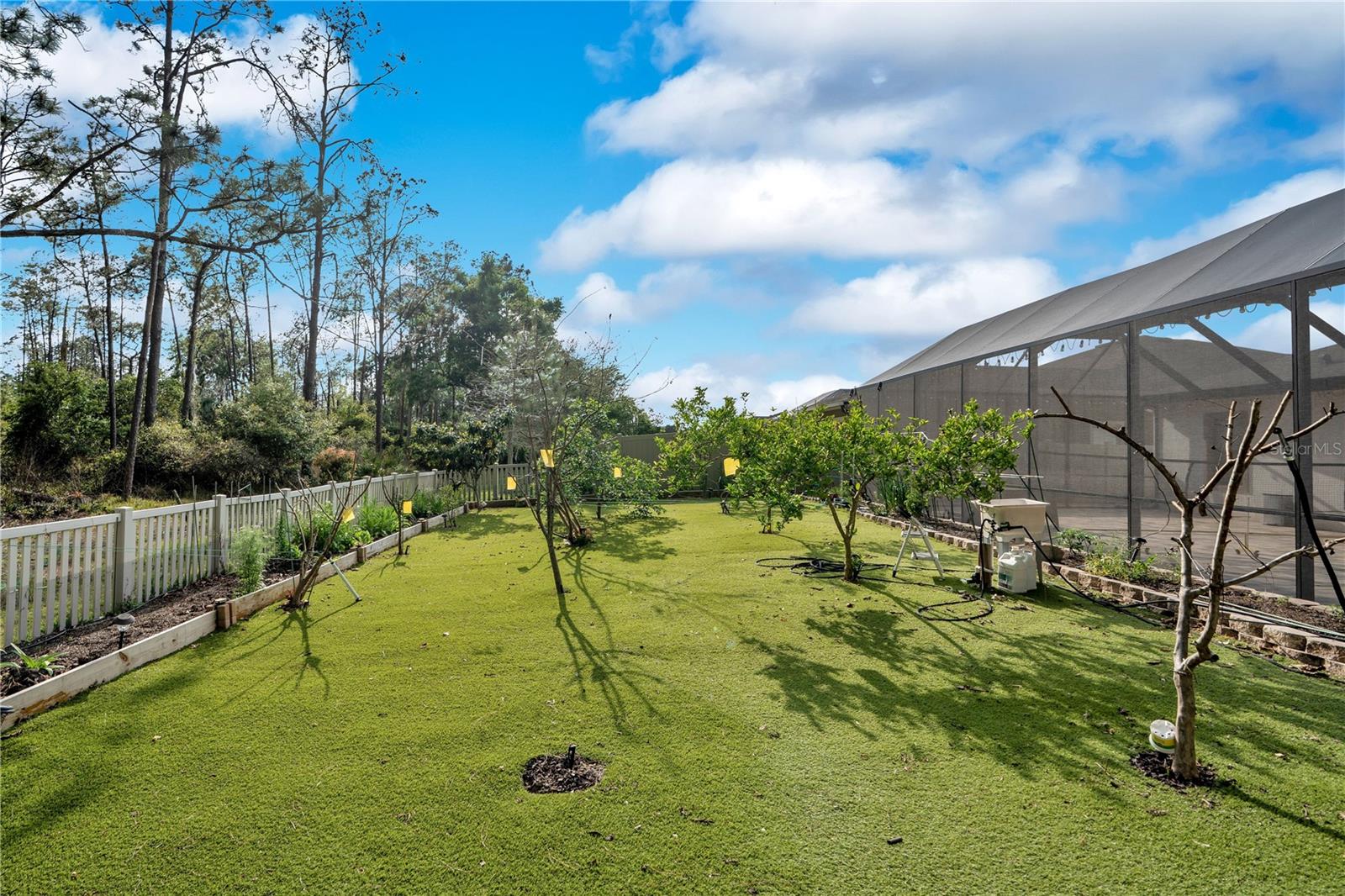 21914 BUTTERFLY KISS DR — photo 38