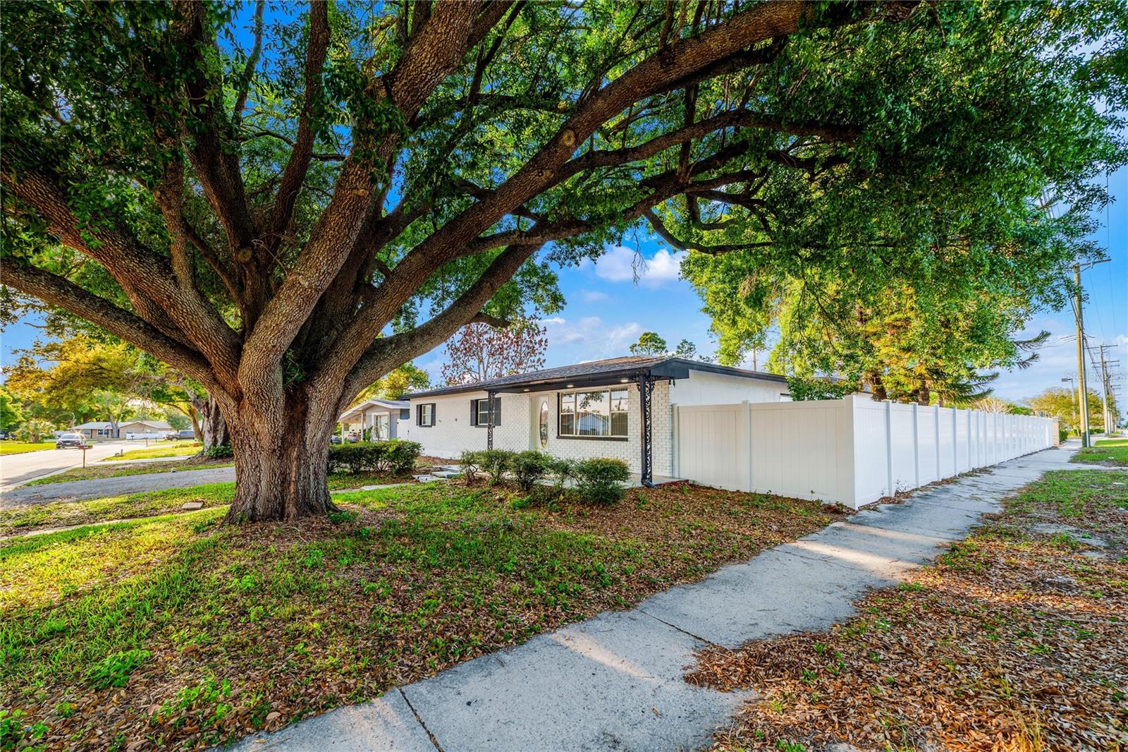 545 N TERRACE DR — photo 3