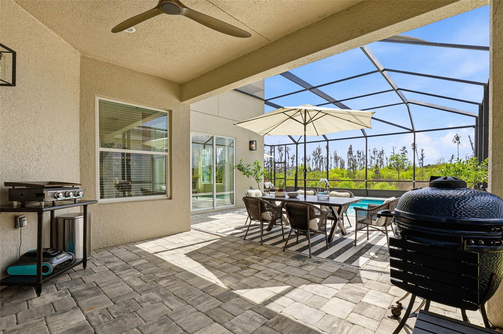 32490 TREE OF LIFE AVE — photo 31