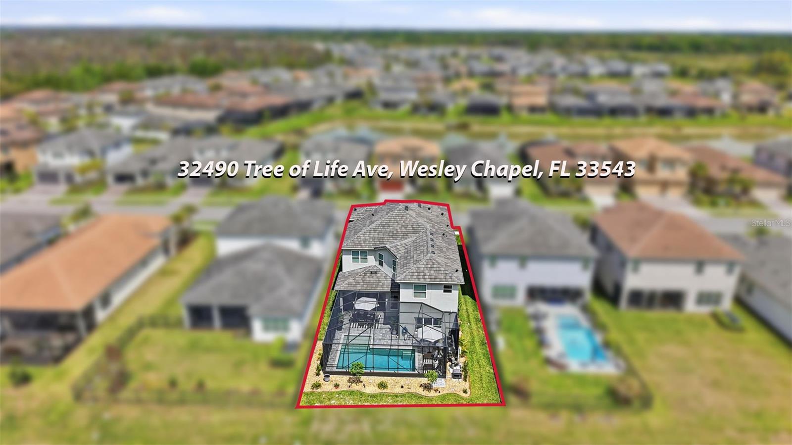 32490 TREE OF LIFE AVE — photo 76