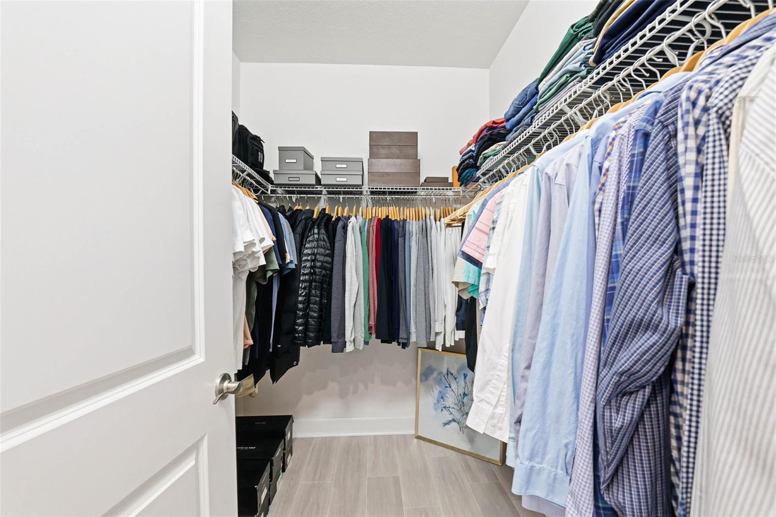 32490 TREE OF LIFE AVE — photo 54