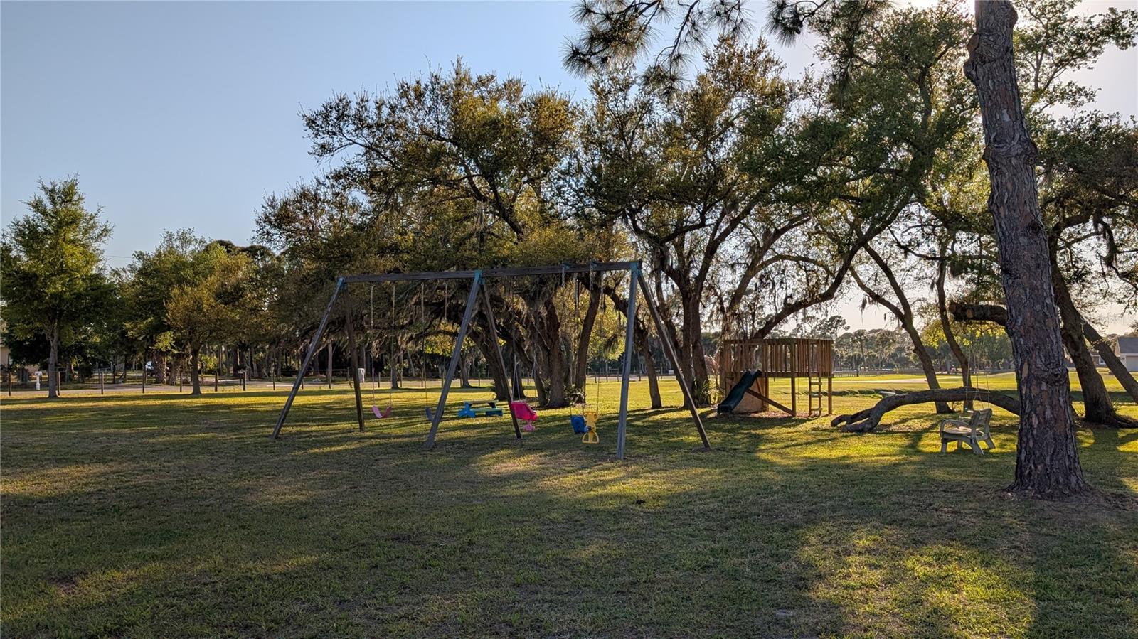 770 BUCKSKIN CT — photo 97