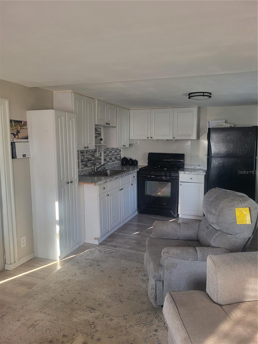 6580 SEMINOLE BLVD #424 — photo 7
