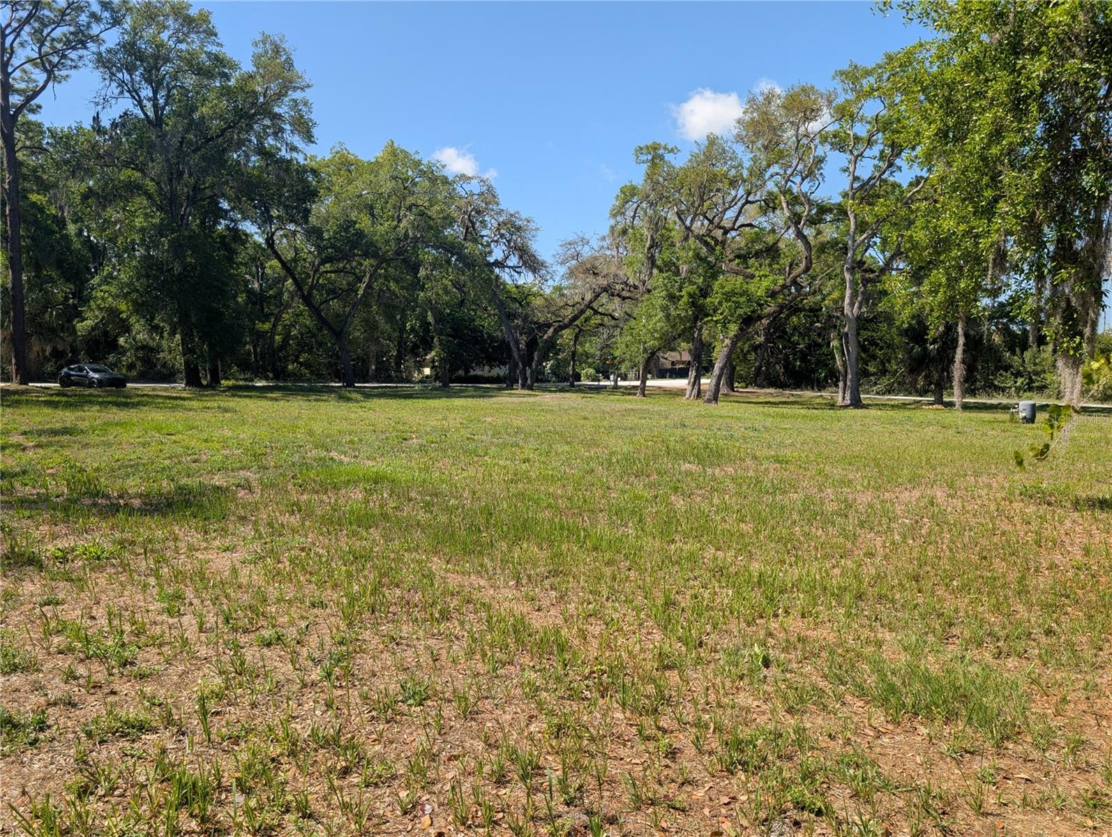 8519 ADONIS RD — photo 3