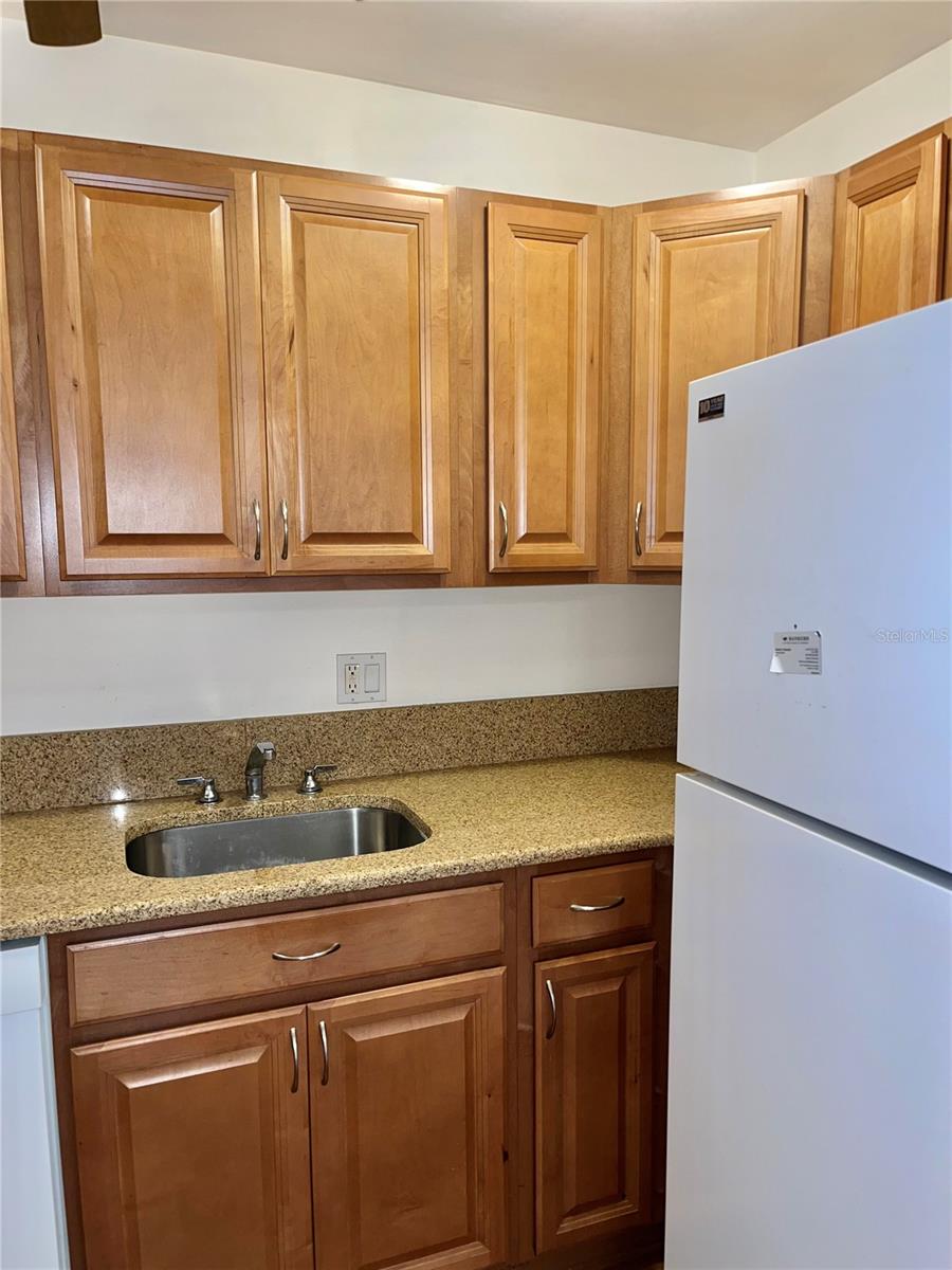 519 ALBEE FARM RD #303 — photo 16