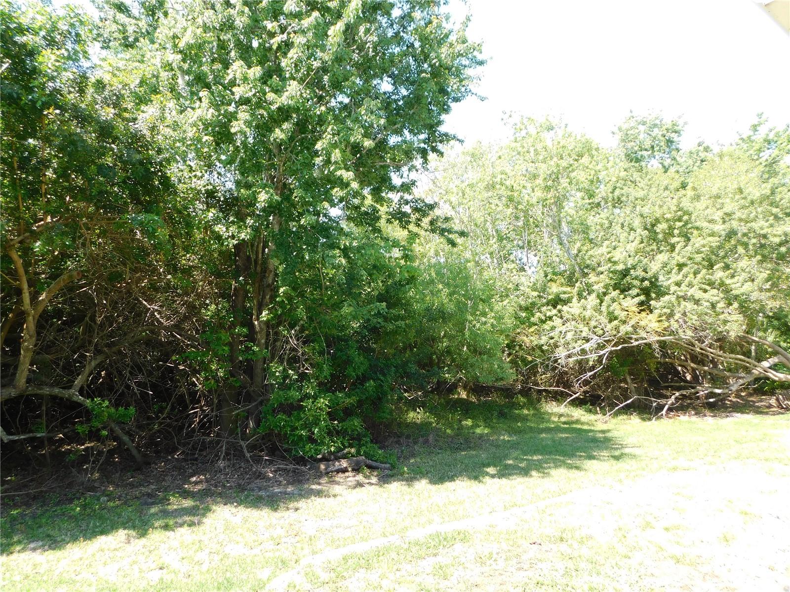 1720 ARABIAN LN — photo 2